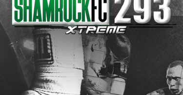 shamrock293