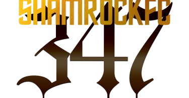 347 logo